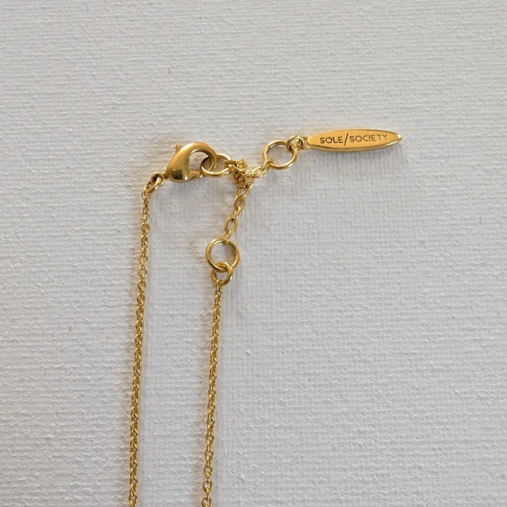 Sole Society Necklace - Picture 5 of 9